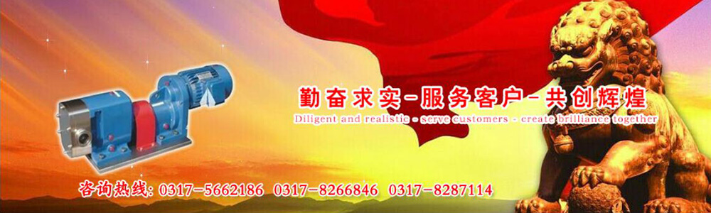 凸輪轉子泵,轉子泵,凸輪式雙轉子泵,轉子泵廠家